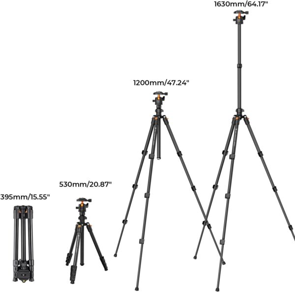 K&F Concept 64 inch/163cm Camera Tripod,Lightweight Travel Outdoor DSLR Tripods with 360 Degree Ball Head Load Capacity 8kg/17.6lbs,Cellphone Clip for Smartphone Live Streaming Vlog K234A0+BH-28L - Image 6