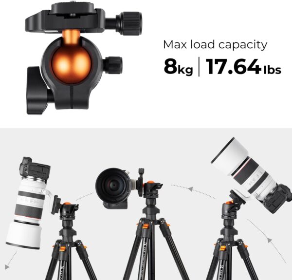 K&F Concept 64 inch/163cm Camera Tripod,Lightweight Travel Outdoor DSLR Tripods with 360 Degree Ball Head Load Capacity 8kg/17.6lbs,Cellphone Clip for Smartphone Live Streaming Vlog K234A0+BH-28L - Image 4